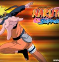 Naruto: Shippûden (2007– )