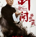 Ip Man: The Final Fight (2013)