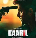 Kaabil (2017)