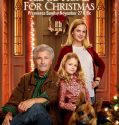I’ll Be Home for Christmas (2016)