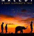 Naledi: A Baby Elephant’s Tale (2016)