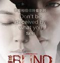 Blind (2011)