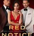 RED NOTICE (2021)